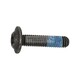 BOLT M6X25 DOOR